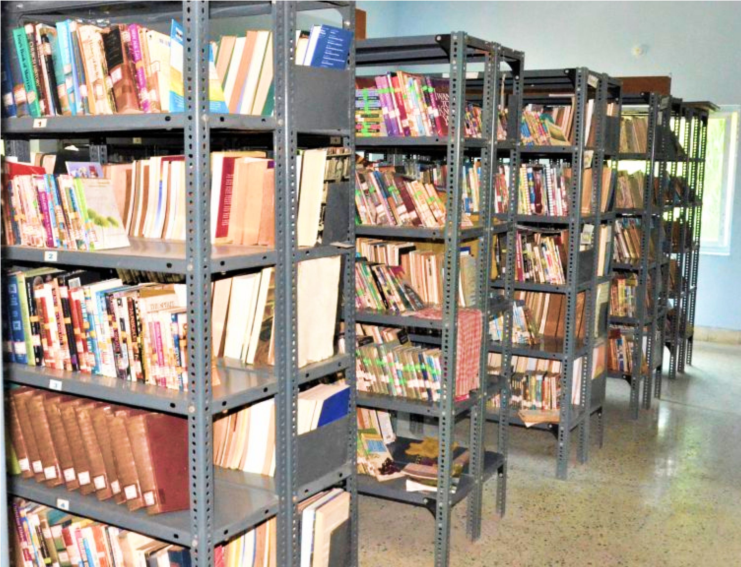 Library 4